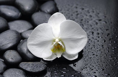 推拿按摩时如何才能寻找到痛点？